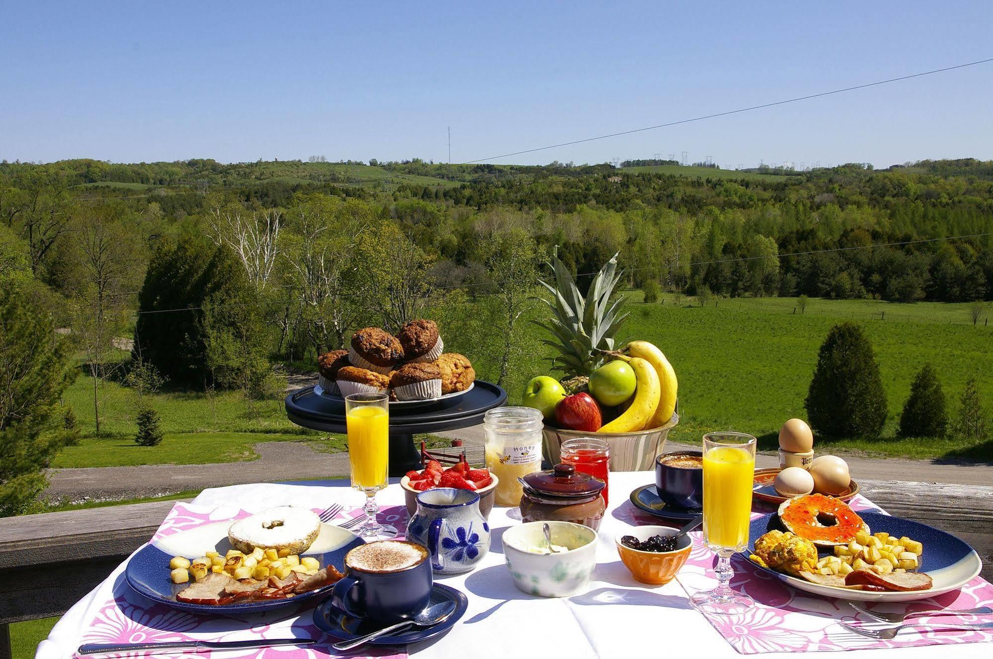 המפטון Our Valley View Bed & Breakfast מראה חיצוני תמונה