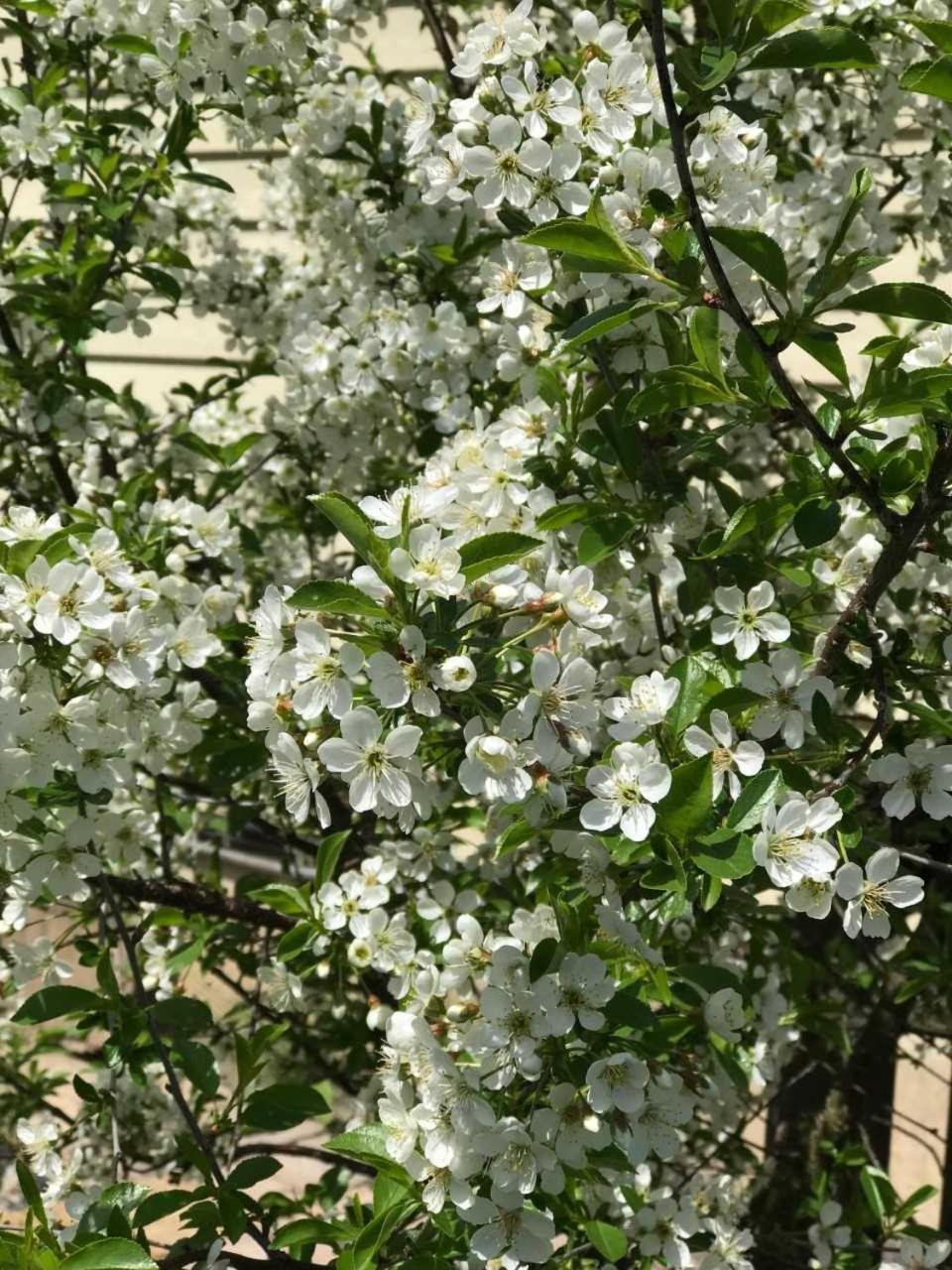 המפטון Our Valley View Bed & Breakfast מראה חיצוני תמונה